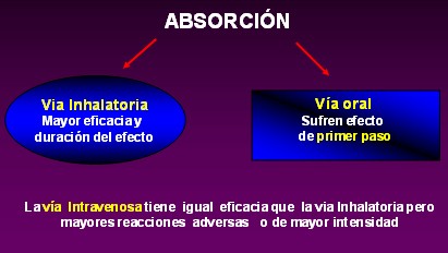 farmacologia_asma_bronquial/betaadrenergicos_farmacocinetica_farmacodinamia