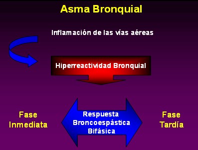 farmacologia_asma_bronquial/hiperreactividad_bronquial