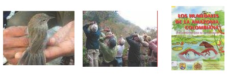 influenza_gripe_aviar/zoonosis_aves_migratorias influenza_gripe_aviar/zoonosis_aves_migratorias