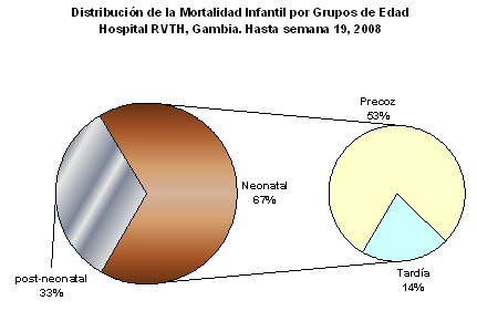 mortalidad_infantil/distribucion_edad_edades