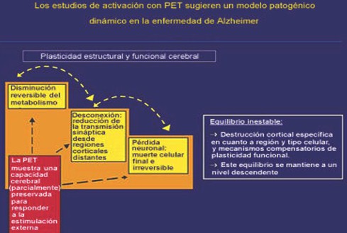 enfermedad_de_alzheimer/estudios_activacion_PET