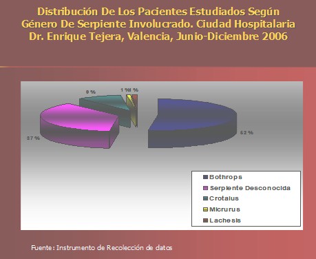 epidemiologia_accidente_ofidico/distribucion_genero_serpiente