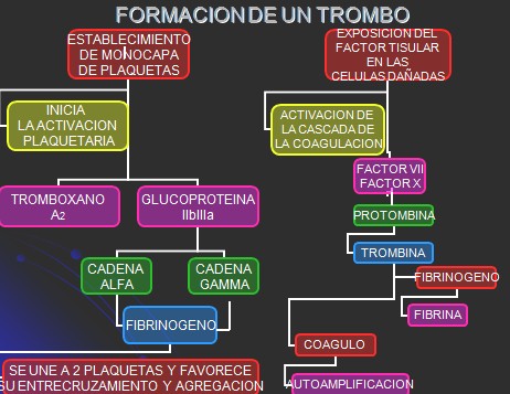 infarto_agudo_miocardio/formacion_trombo