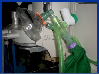 alergia_latex_quirofano/administrar_oxigeno alergia_latex_quirofano/administrar_oxigeno