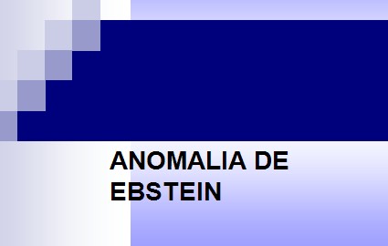 cardiopatias_congenitas/anomalia_de_ebstei