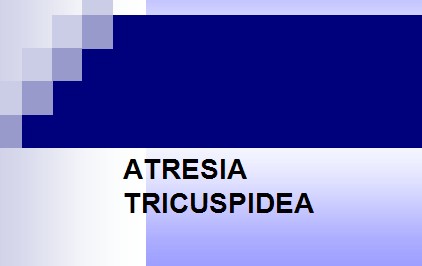 cardiopatias_congenitas/atresia_tricuspidea