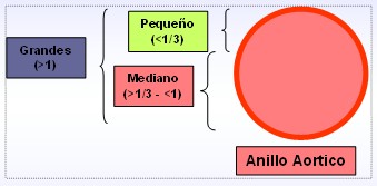 cardiopatias_congenitas/clasificacion_dimensiones_defecto