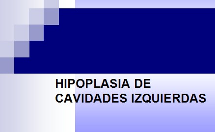 cardiopatias_congenitas/hipoplasia_cavidades_izquierdas cardiopatias_congenitas/hipoplasia_cavidades_izquierdas