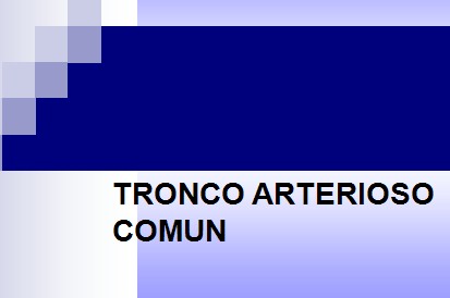 cardiopatias_congenitas/tronco_arterioso_comun