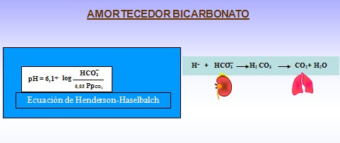 equilibrio_acido_base/bicarbonato_amortiguador_amortecedor