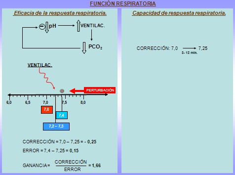 equilibrio_acido_base/funcion_respiratoria equilibrio_acido_base/funcion_respiratoria