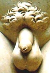 historia_tendencia_circuncision/Miguelangel_Buonarotti_david2 historia_tendencia_circuncision/Miguelangel_Buonarotti_david2