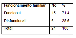 analisis_salud_bucal/familia_segun_funcionamiento