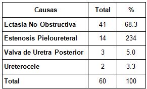 diagnostico_imagenologico_neonatos/total_segun_causas