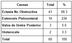 diagnostico_imagenologico_neonatos/total_segun_causas