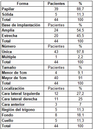 diiagnostico_neoplasia_vesical/forma_ultrasonografica diiagnostico_neoplasia_vesical/forma_ultrasonografica