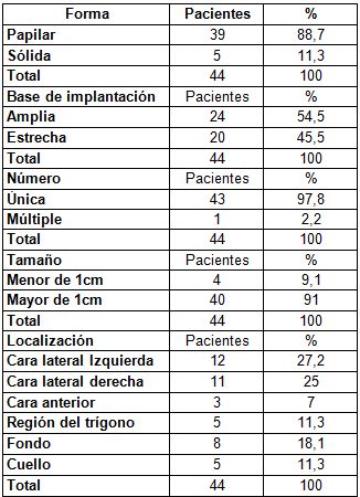 diiagnostico_neoplasia_vesical/forma_ultrasonografica