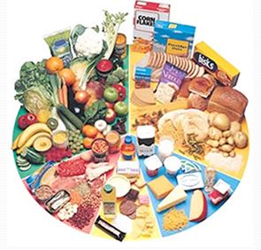 nutricion_ejercicio_salud/torta_nutricional