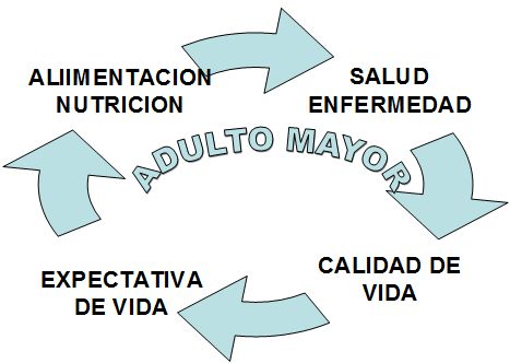 salud_paciente_geriatrico/componentes_ciclicos salud_paciente_geriatrico/componentes_ciclicos