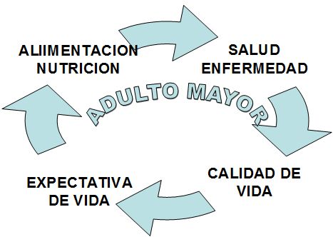 salud_paciente_geriatrico/componentes_ciclicos