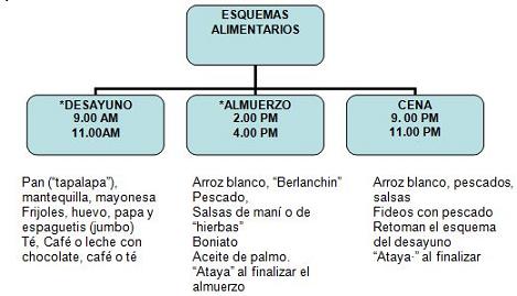 salud_paciente_geriatrico/esquemas_alimentarios