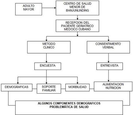 salud_paciente_geriatrico/estrategia_investigacion