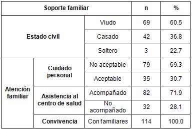 salud_paciente_geriatrico/soporte_familiar