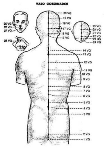 acupuntura_bursitis_hombro/canal_vaso_gobernador