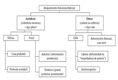 artroscopia_atrapamiento_femoroacetabular/algoritmo_para_atrapamiento artroscopia_atrapamiento_femoroacetabular/algoritmo_para_atrapamiento