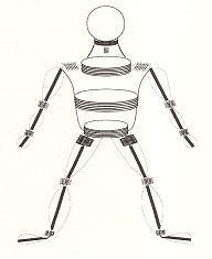 fisioterapia_deportiva_craneosacral/grafico_representacion_pa