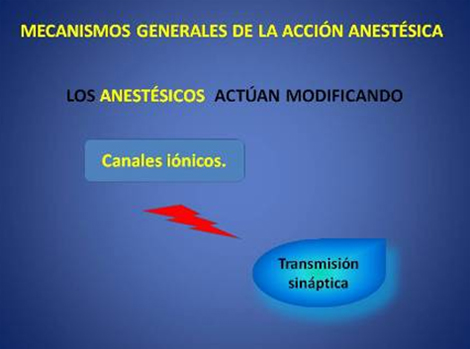 anestesicos_analgesicos_opioides/mecanismos_accion_anestesica