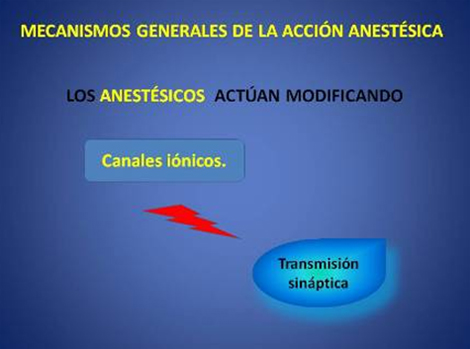 anestesicos_analgesicos_opioides/mecanismos_accion_anestesica anestesicos_analgesicos_opioides/mecanismos_accion_anestesica