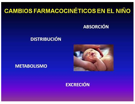 efecto_farmacos_embarazo/cambios_farmacocineticos_pediatria