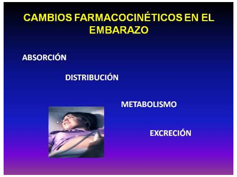 efecto_farmacos_embarazo/cambios_farmacologicos_embarazo