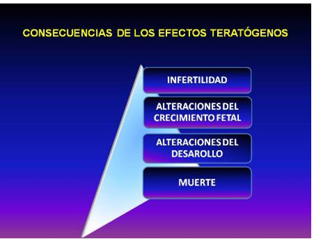 efecto_farmacos_embarazo/consecuancias_efectos_teratogenicos