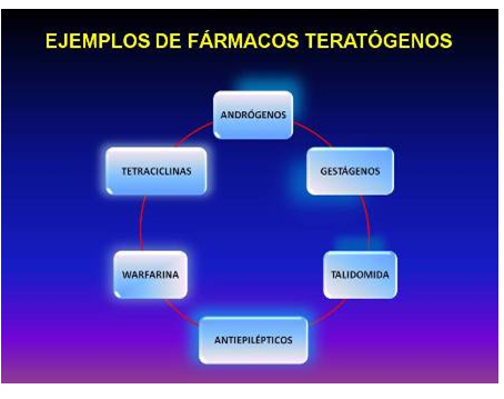 efecto_farmacos_embarazo/ejemplos_farmacos_teratogenicos