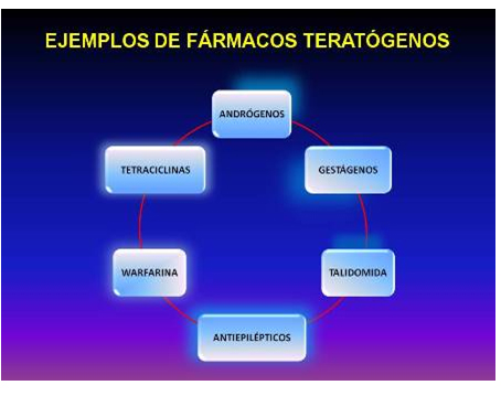 efecto_farmacos_embarazo/ejemplos_farmacos_teratogenicos efecto_farmacos_embarazo/ejemplos_farmacos_teratogenicos