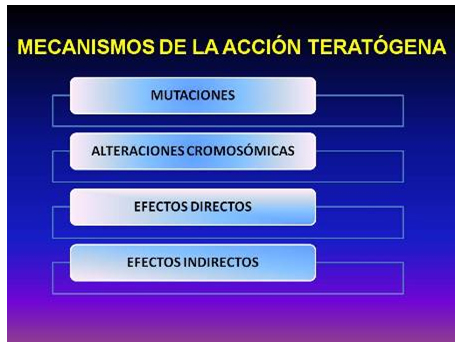 efecto_farmacos_embarazo/mecanismos_de_teratogenicidad