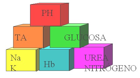 guia_basica_fisioterapia/funciones_renales_nefrologia