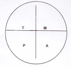 guia_basica_fisioterapia/valvulas_cardiacas