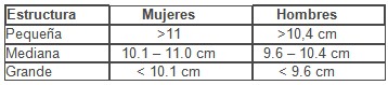 tratamiento_obesidad_sobrepeso/IMC_test_somatoscopico tratamiento_obesidad_sobrepeso/IMC_test_somatoscopico