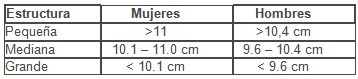 tratamiento_obesidad_sobrepeso/IMC_test_somatoscopico