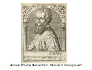 Universidad_Padua_Medicina/andrea_vesalius_anatomicus