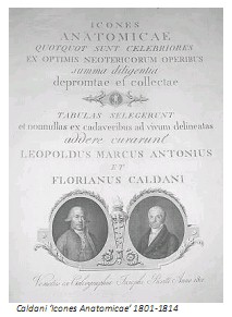 Universidad_Padua_Medicina/caldani_icones_anatomicae