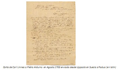 Universidad_Padua_Medicina/carta_carl_linneo Universidad_Padua_Medicina/carta_carl_linneo