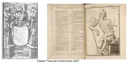 Universidad_Padua_Medicina/casseri_tabulae_anatomicae