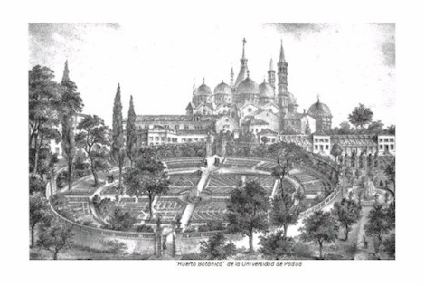 Universidad_Padua_Medicina/huerto_botanico_padua1 Universidad_Padua_Medicina/huerto_botanico_padua1