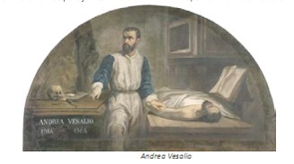 Universidad_Padua_Medicina/imagen_andrea_vesalio