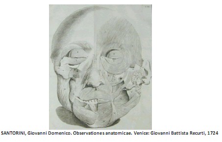 Universidad_Padua_Medicina/imagen_observaciones_anatomicas