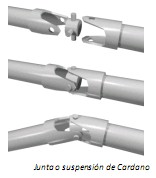 Universidad_Padua_Medicina/junta_suspension_cardano